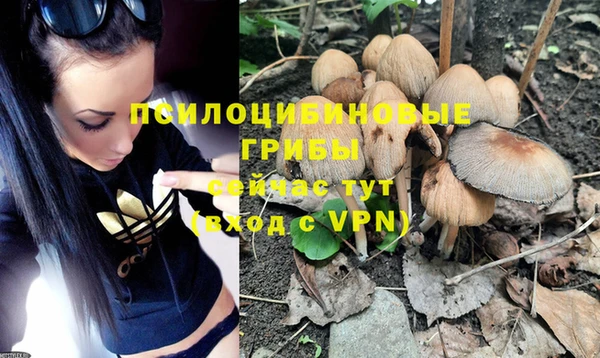 не бодяженный Балахна