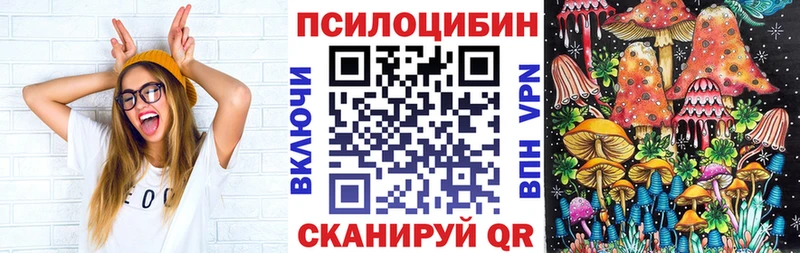 Псилоцибиновые грибы мицелий  Стрежевой 
